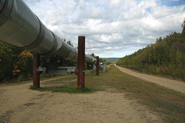 Алтайский край продолжает с нетерпением ждать сделки по газопроводу Алтай