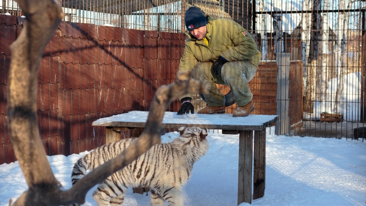 Экскурсия в зоопарке